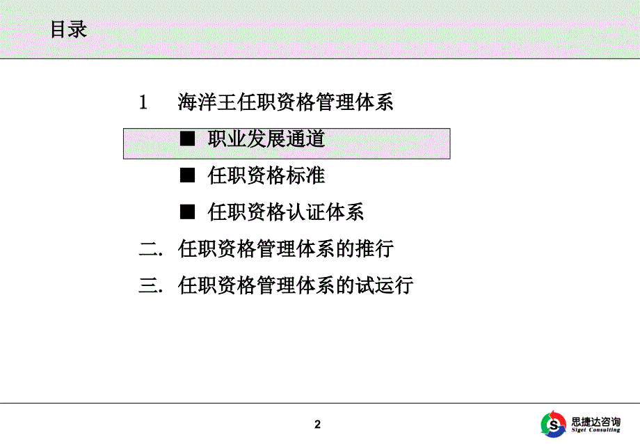 海洋王任职资格管理体系及运行办法_第2页