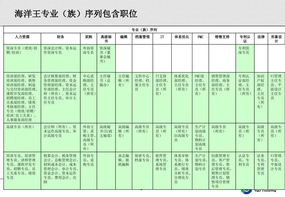 海洋王任职资格管理体系及运行办法_第5页