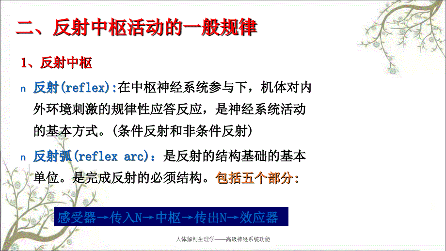 人体解剖生理学——高级神经系统功能_第4页