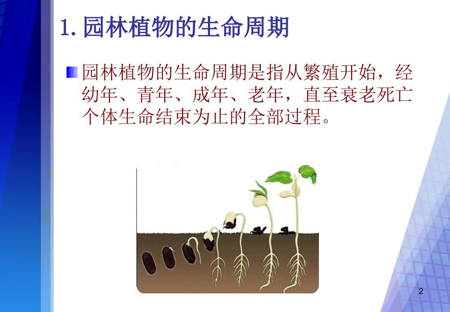 园林植物生长发育基本规律PowerPoint 演示文稿_第2页