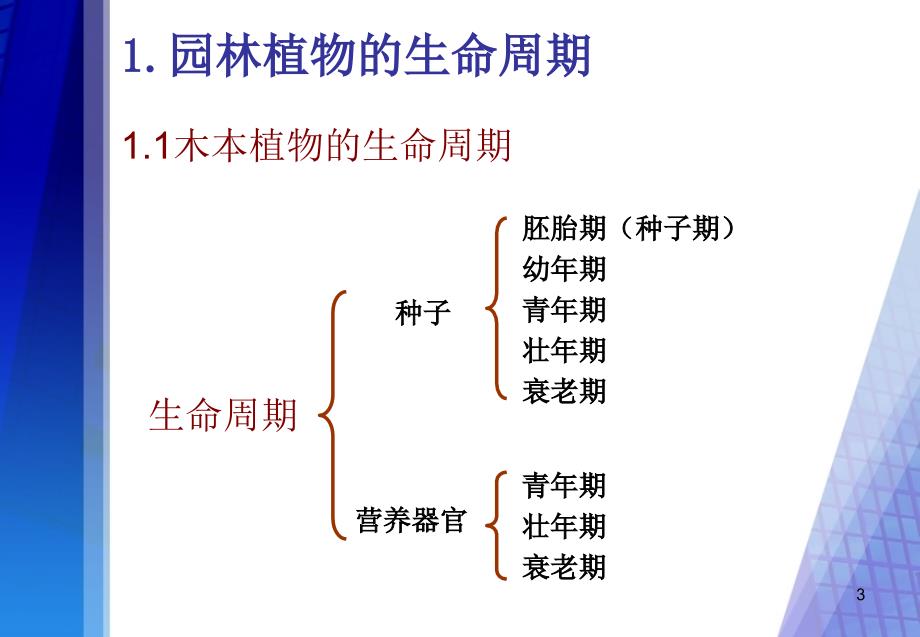 园林植物生长发育基本规律PowerPoint 演示文稿_第3页