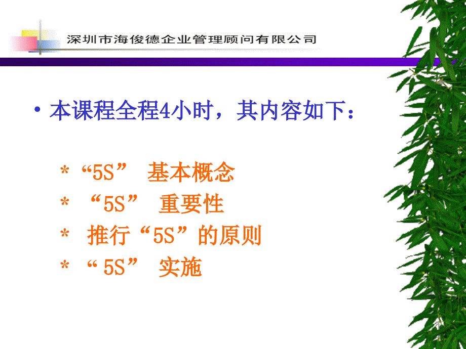 质量管理体系培训系列教材-5S活动教程课件_第2页