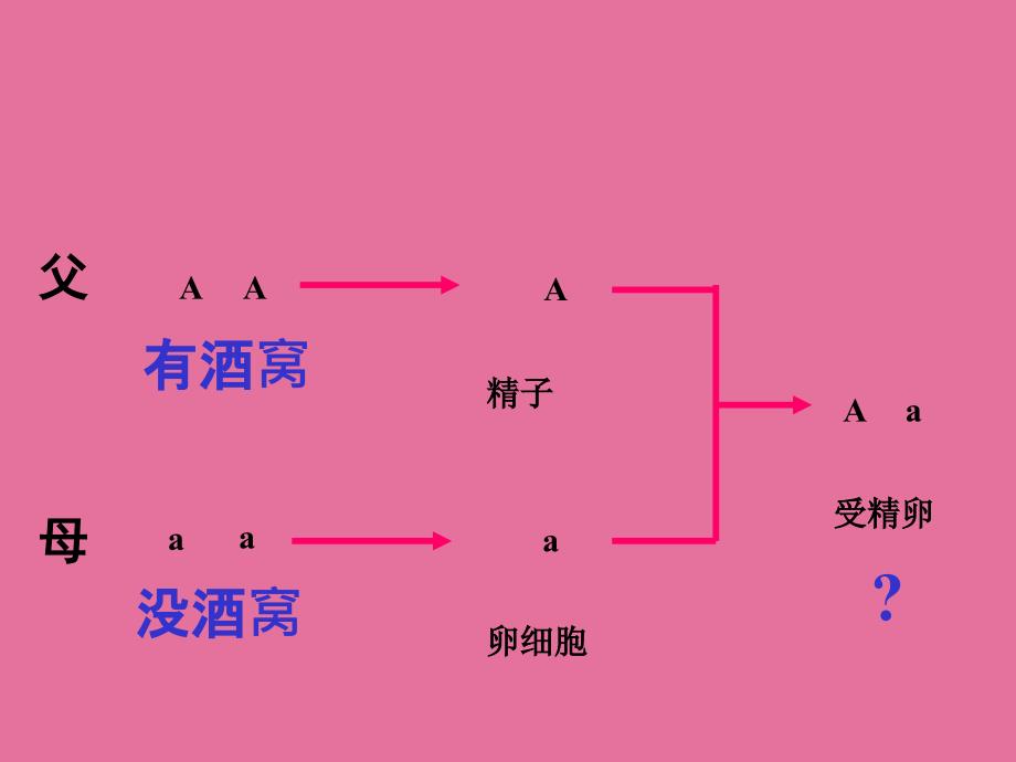 阁山学校谢卫兵ppt课件_第4页