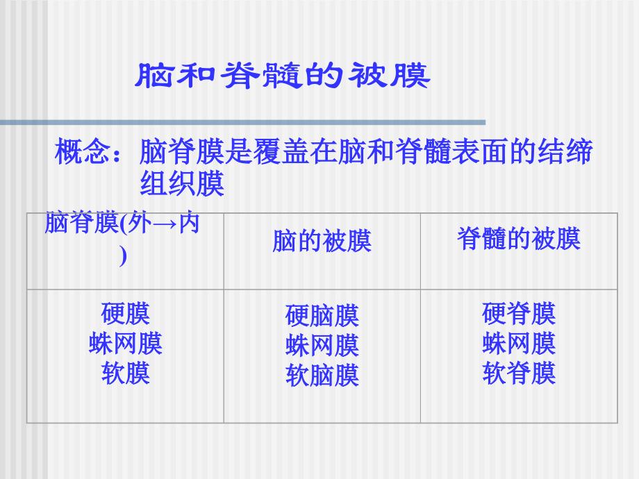 cns被膜和血管PPT课件_第3页