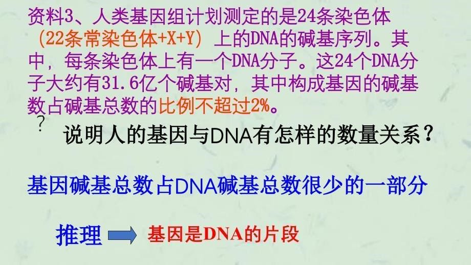 上课第四节基因是由遗传效应的片段课件_第5页