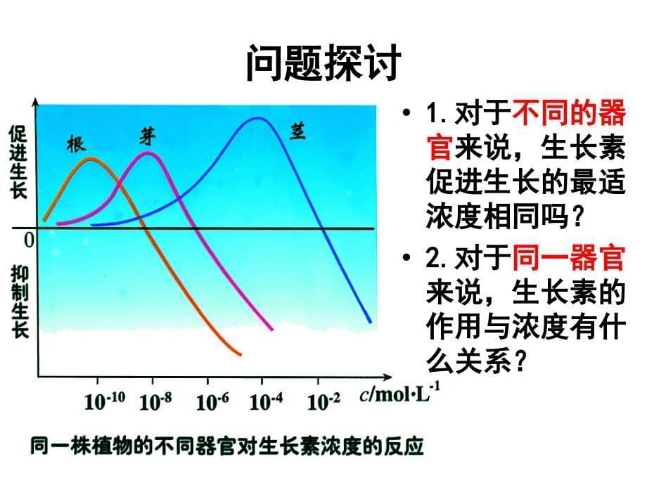 人教版教学课件生物必修3第3章第2节生长素的生理作用_第5页