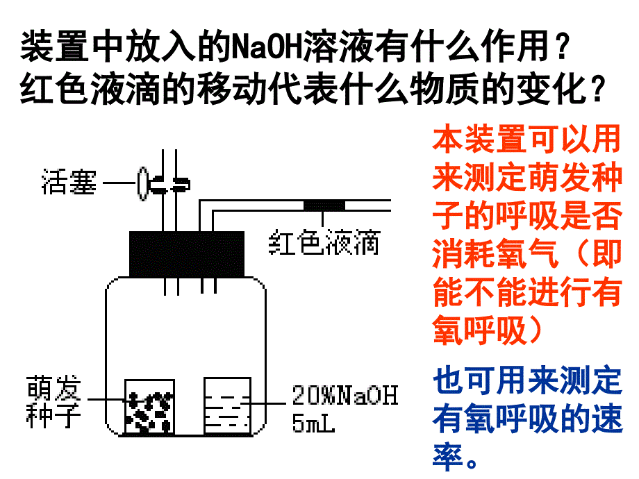 高三生物光合作用与呼吸作用实验装置的运用_第3页