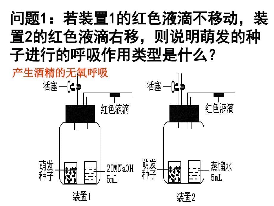 高三生物光合作用与呼吸作用实验装置的运用_第5页