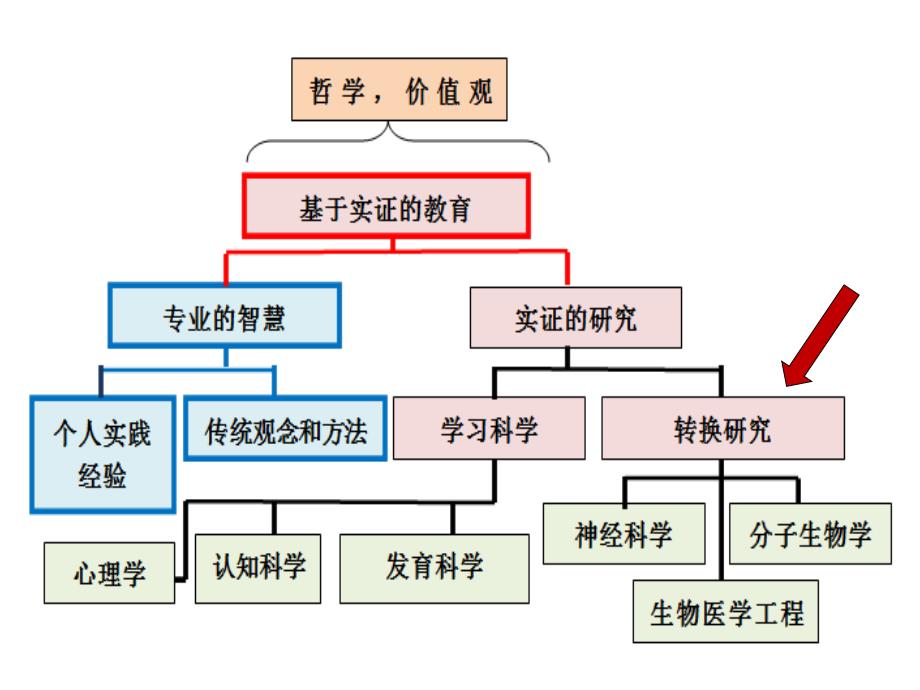 脑科学对教育的启示及其应用_第2页