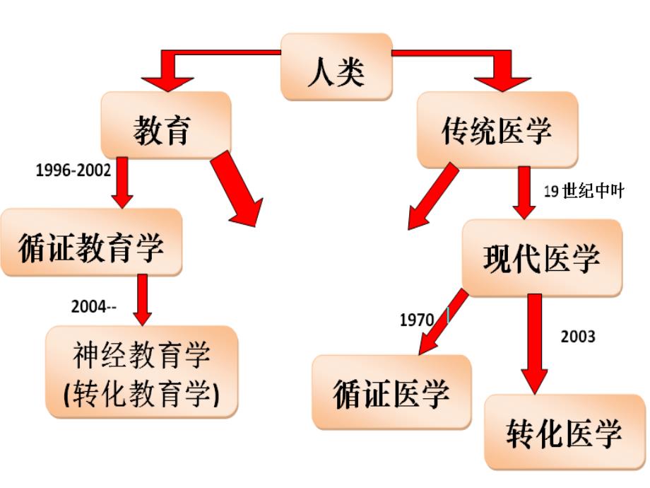 脑科学对教育的启示及其应用_第3页