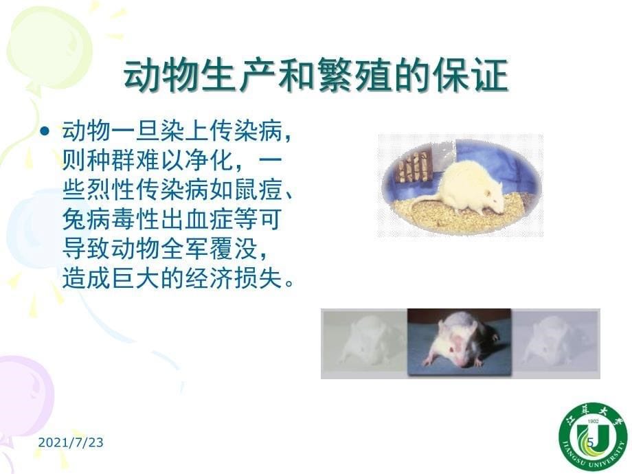 实验动物标准化PPT课件_第5页