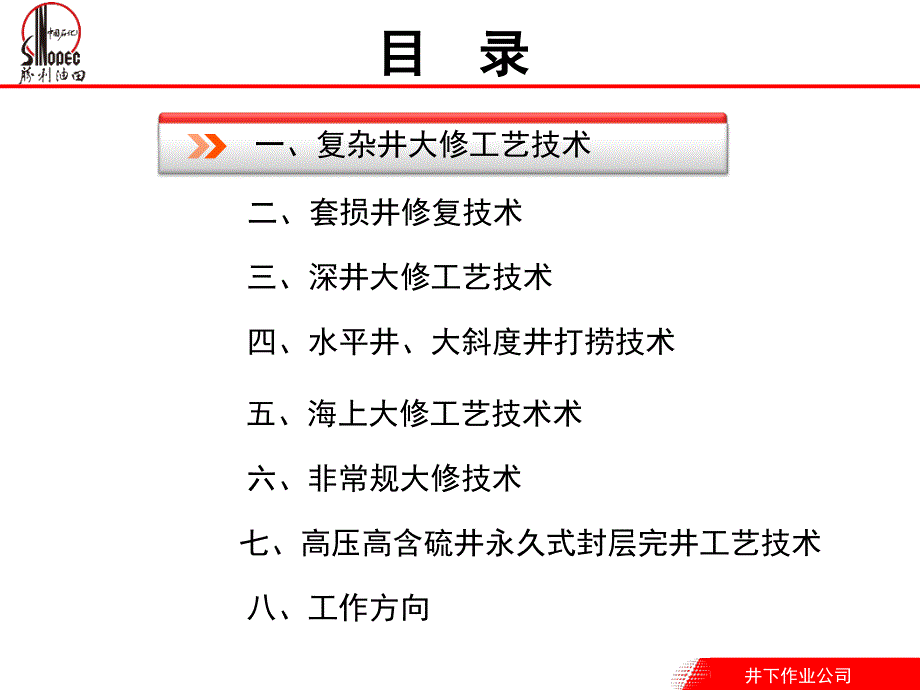 油水井大修工艺进展及下步工作方向ppt课件_第4页