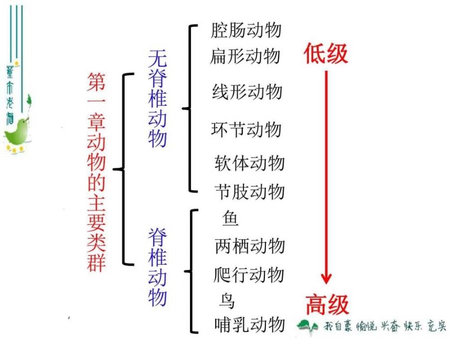 腔肠动物与扁形动物ppt课件_第3页