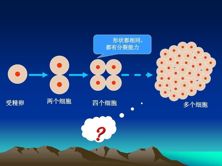 第一节动物体的结构层次_第5页