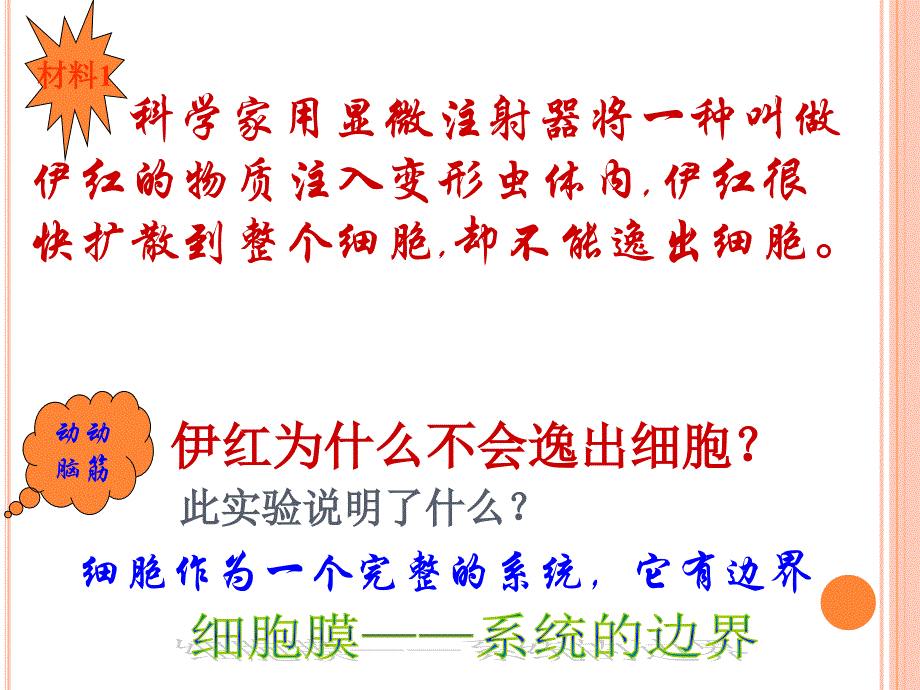 人教版高中生物必修一细胞膜系统的边界课件2_第2页