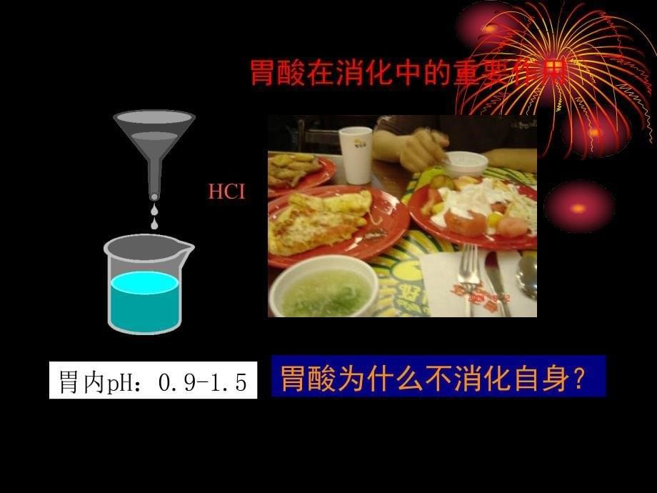 《消化性溃疡内科》PPT课件_第5页