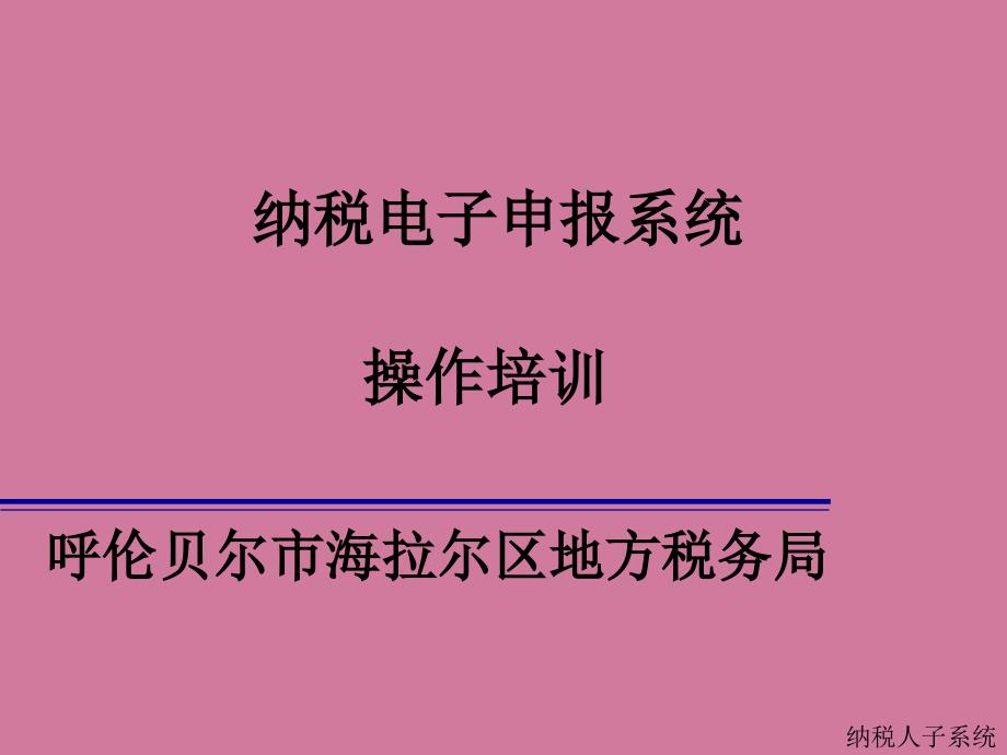 纳税电子申报系统ppt课件_第1页