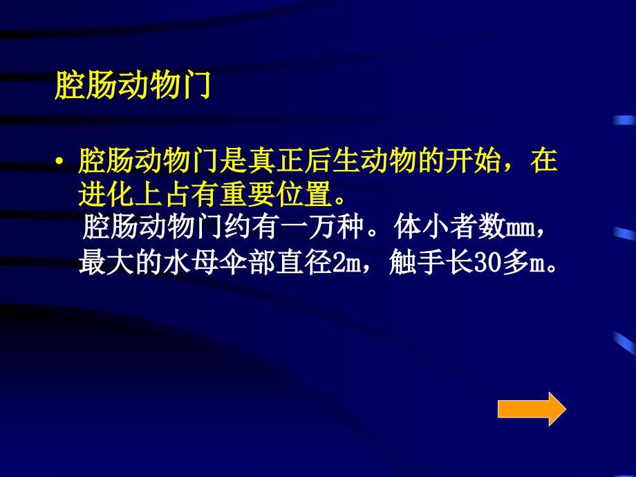 辐射对称的动物腔肠动物门_第2页