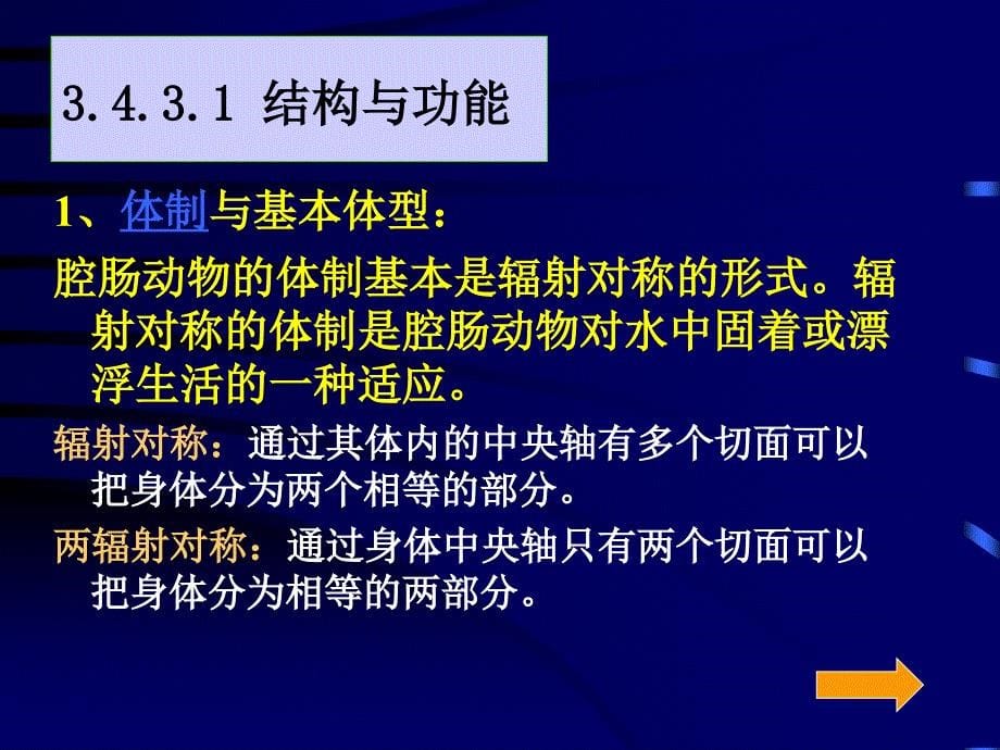 辐射对称的动物腔肠动物门_第5页