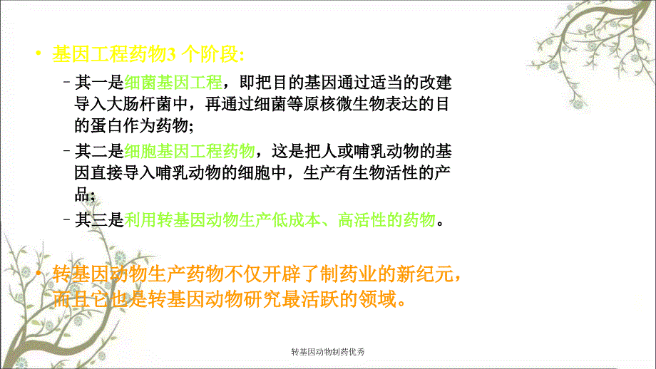 转基因动物制药优秀_第2页