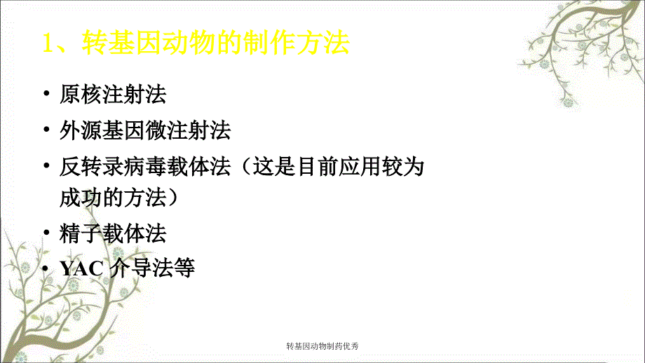 转基因动物制药优秀_第4页