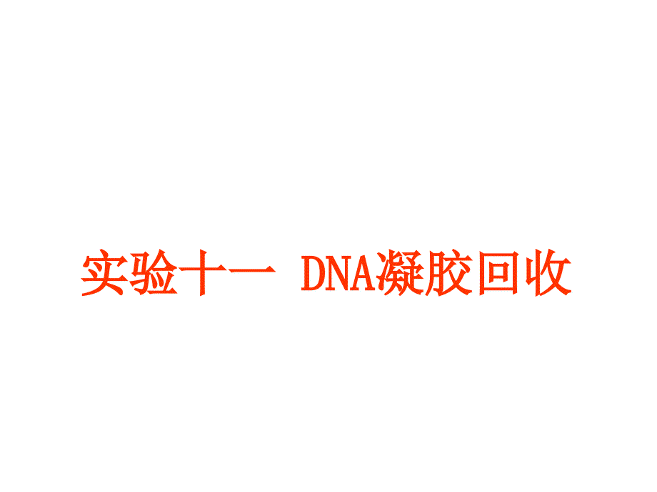 实验十一DNA凝胶回收_第1页