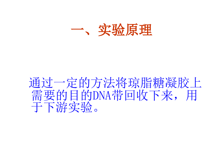 实验十一DNA凝胶回收_第2页