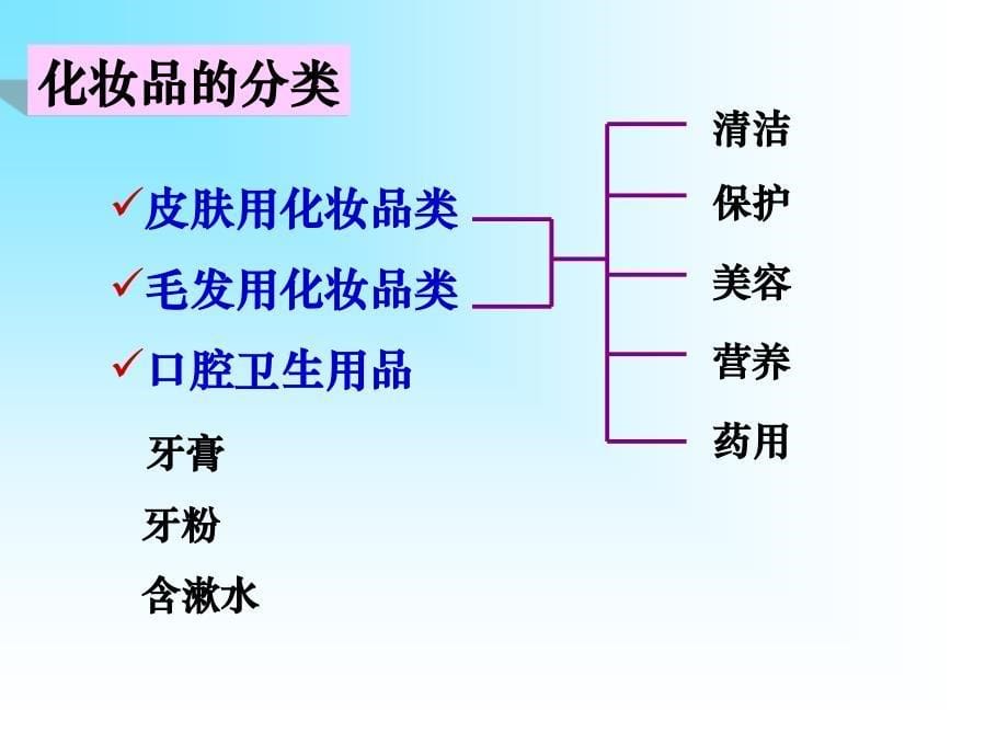 美容与健康精简版课件_第5页