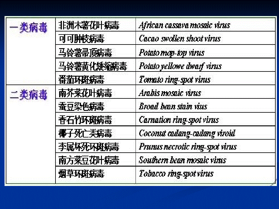 危险性植物病毒、线虫.ppt_第2页