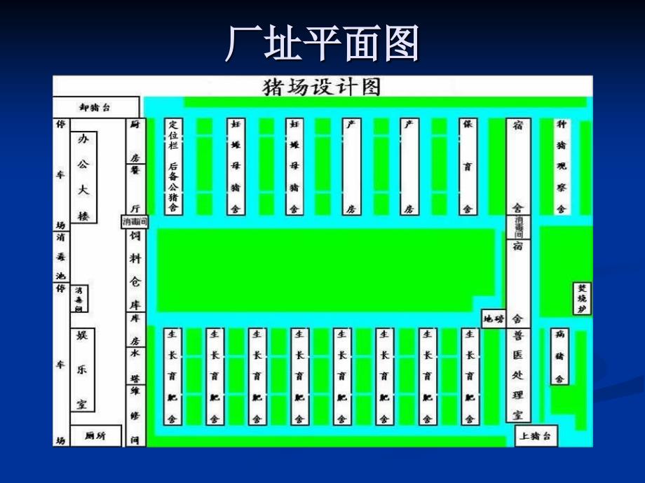 智能化母猪饲养管理系统万头猪场设计_第3页