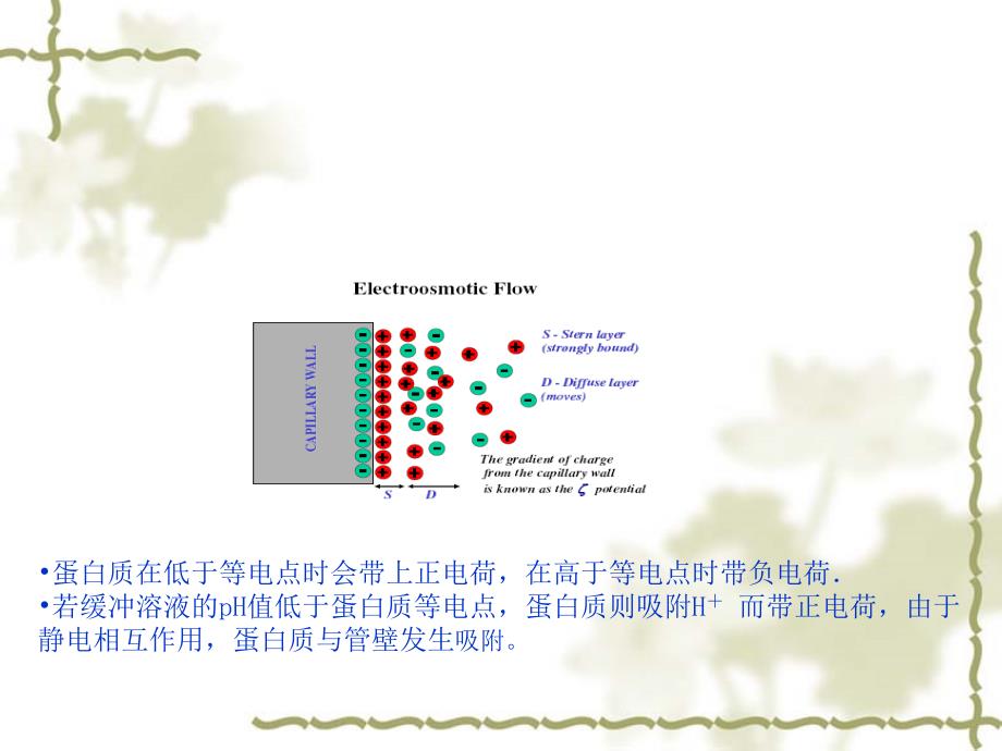 科大高分子课件四聚合物在生物高分子分离中的应用1_第4页