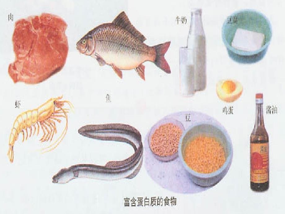 九年级化学3 蛋白质课件_第5页