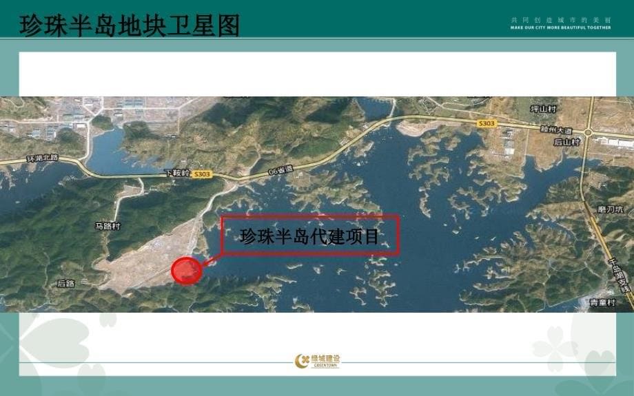 绿城千岛湖珍珠半岛代建项目(千岛湖桃花园)代建项目营销沟通会议125p_第5页