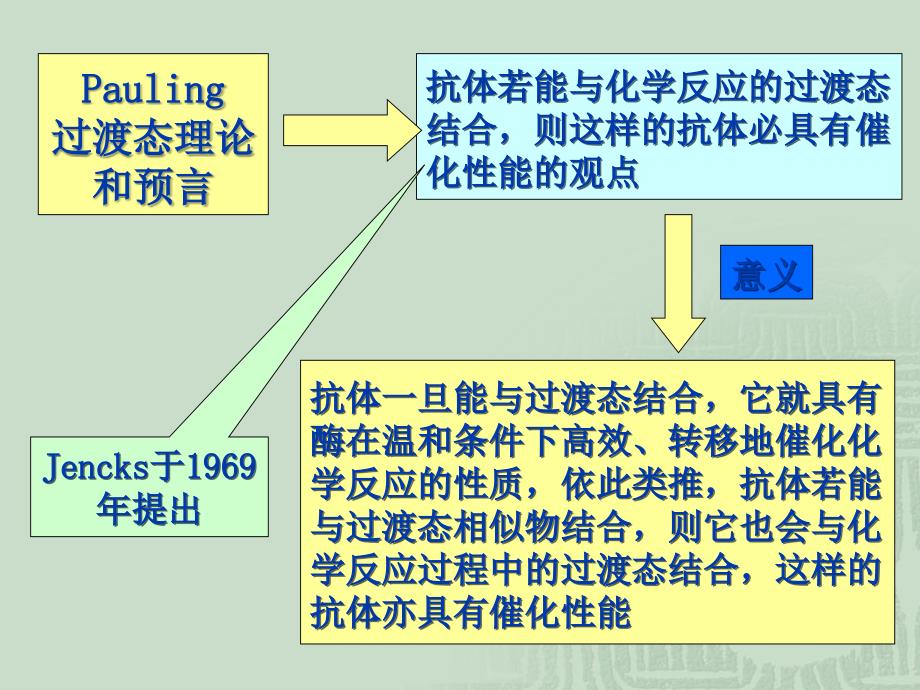 酶工程7催化抗体ppt课件_第3页