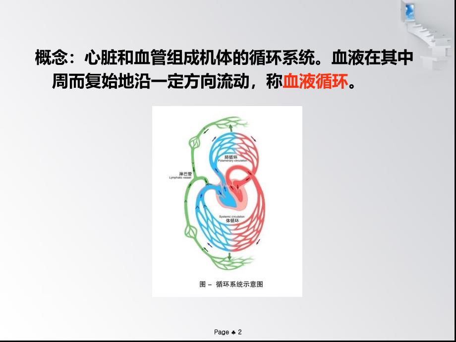 生理学：第四章血液循环（心脏电活动）_第2页