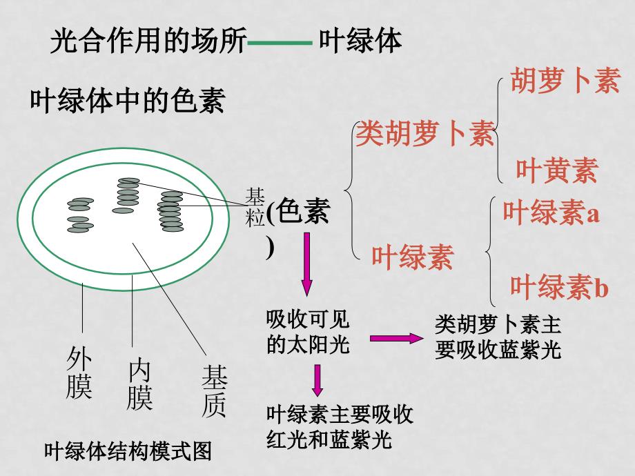 高中生物分子与细胞　课件（26个）必修一光合作用过程_第1页