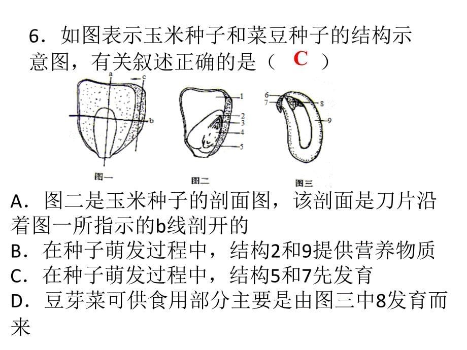 2018秋人教版七年级生物上册课件：第三单元第一章生物圈中有哪些绿色植物第二章被子植物的一生 综合检测_第5页