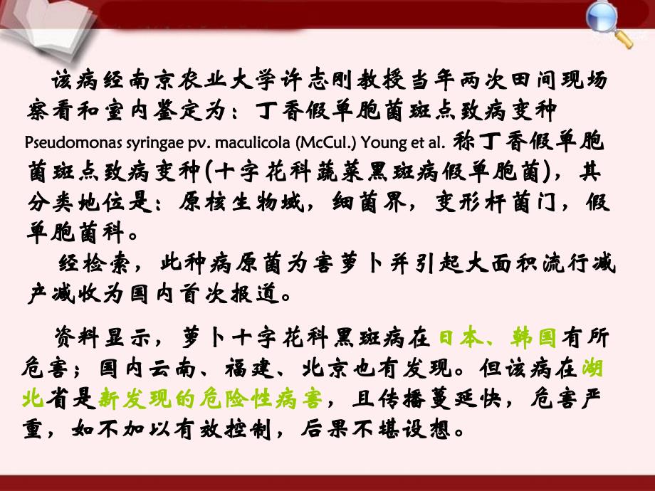 萝卜细菌性黑斑病灾变规律与应急控制技术.ppt_第3页