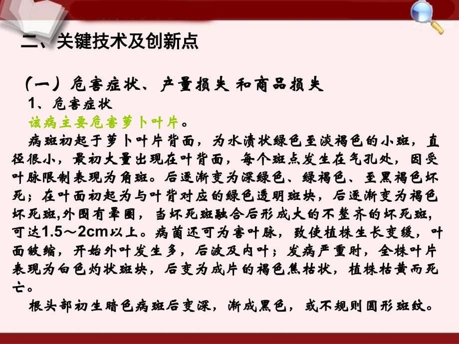 萝卜细菌性黑斑病灾变规律与应急控制技术.ppt_第5页