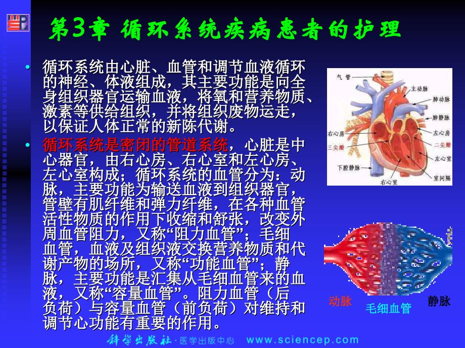 内科护理学-循环系统疾病患者的护理PPT课件.ppt_第2页