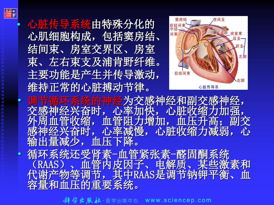 内科护理学-循环系统疾病患者的护理PPT课件.ppt_第3页