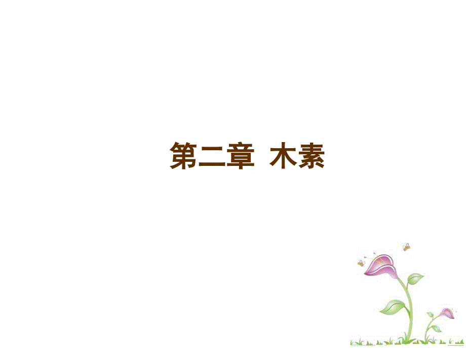 木素的存在及木素的生物合成_第1页