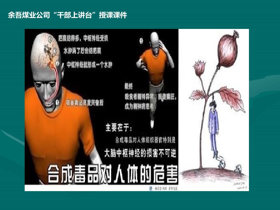 吸毒的危害性_第4页