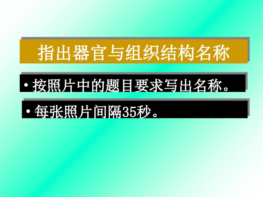 消化腺复习与测试课件_第2页