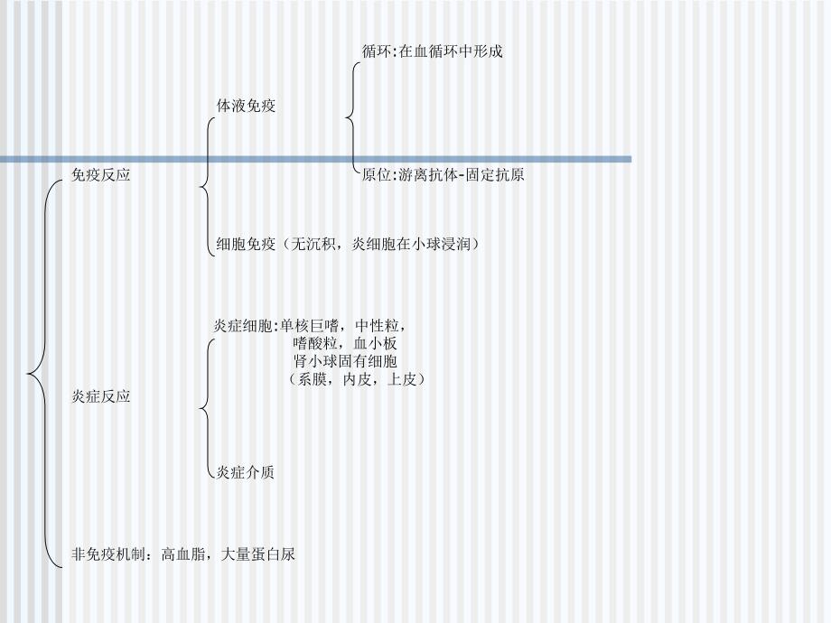 肾小球肾炎继发性肾小球疾病课件_第4页