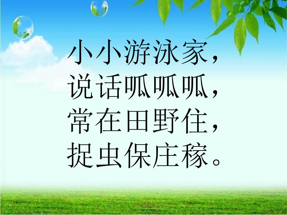 北师大版数学一年级下册青蛙吃虫子课件_第3页