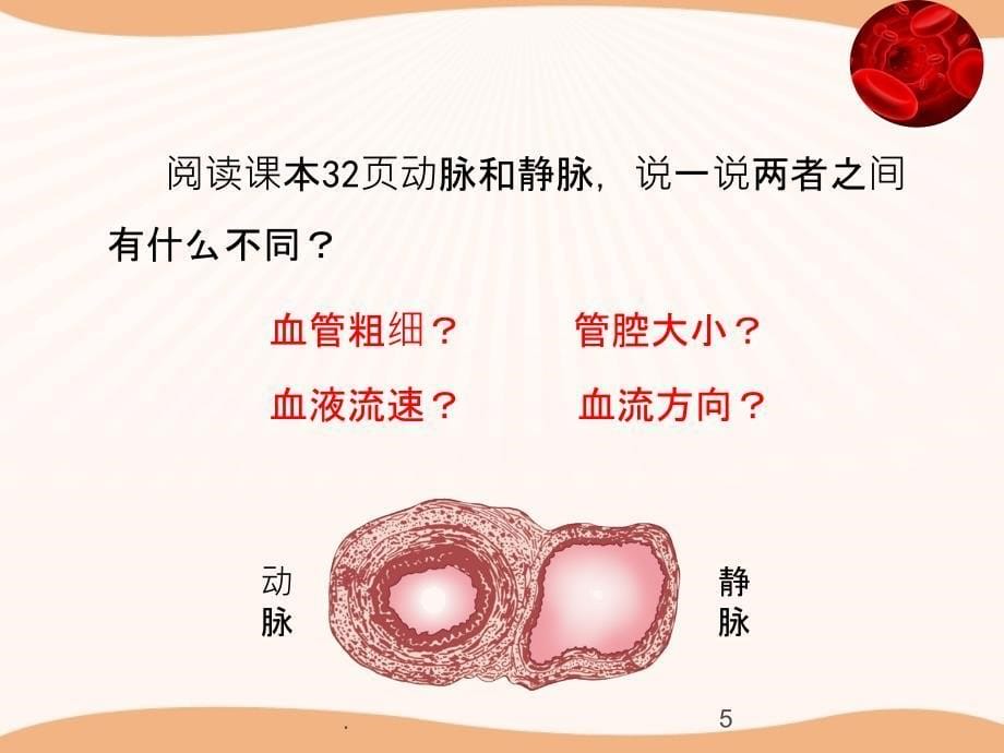 运输物质的器官_第5页