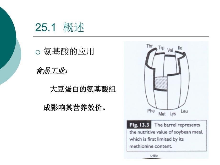 氨基酸发酵工艺培训课程PPT课件_第5页