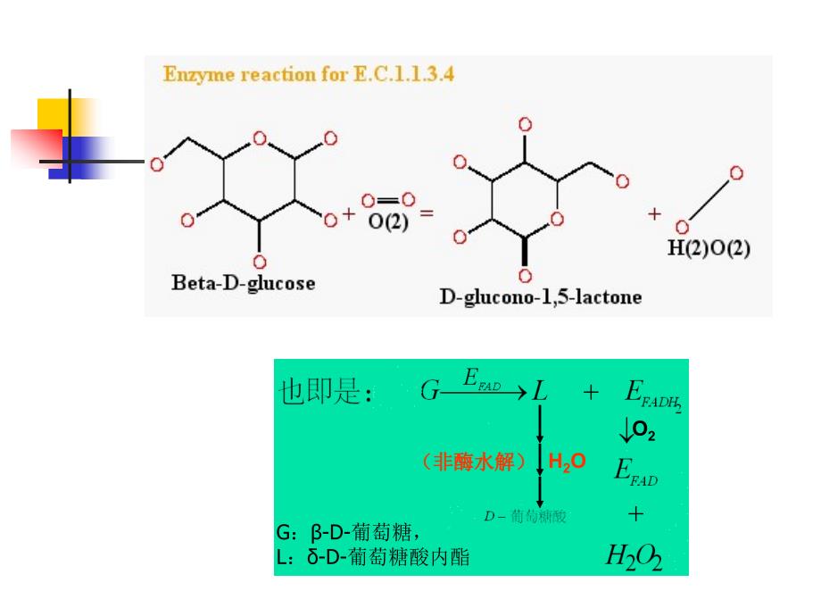 食品酶学葡萄糖氧化酶11_第3页