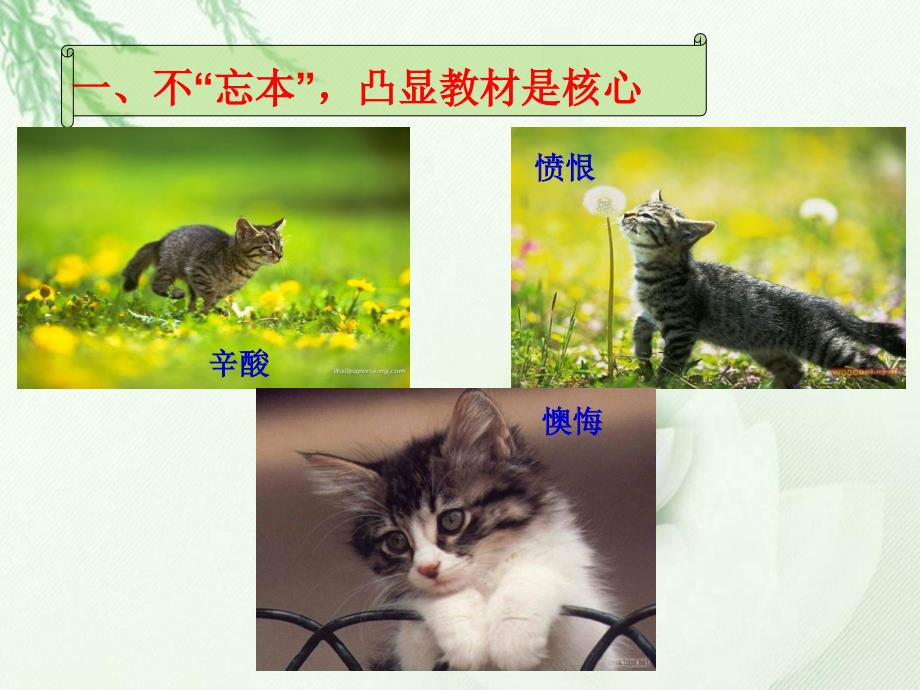 《猫》说课稿_第3页